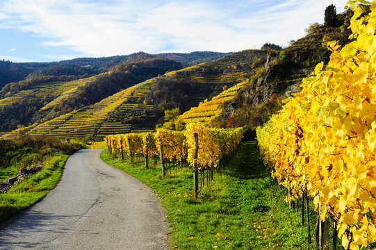 Weltkulturerbe Wachau im Herbst, &Ouml;sterreich, NIeder&ouml;sterreich,