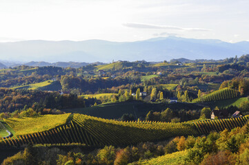 Fototapeta premium Südsteirische Weinstrasse im Herbst, Österreich, Steiermark, S
