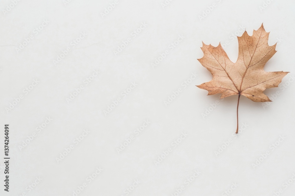 Poster single fallen leaf resting on pristine white surface captured in soft natural lighting with abundant