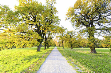 Fototapeta premium Landschaftsgarten Harrachpark im Herbst, Österreich, NIederöst