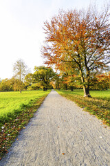 Landschaftsgarten Harrachpark im Herbst, Österreich, NIederöst