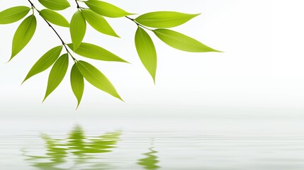 Obraz premium Green Leaves Reflecting in Calm Water