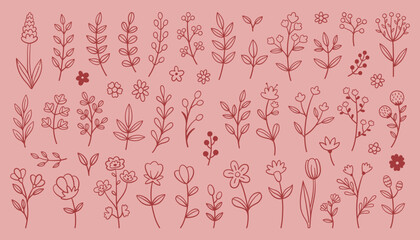 Whimsy flower set. Collection of various flower branch leaf designs on a pink background. Outline in red color, different styles and sizes