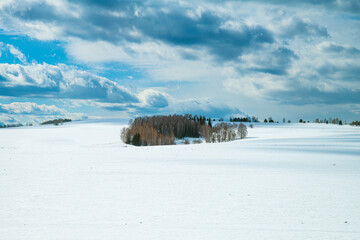 Capturing a beautiful winter landscape, featuring a snow-covered field and a tranquil forest...