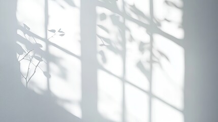 realistic and minimalist blurred natural light windows shadow overlay on wall paper texture abstract background minimal abstract light white background for product presentation