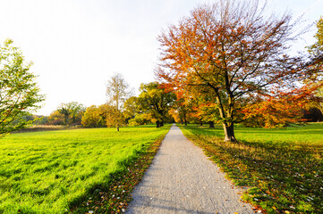 Naklejka premium Landschaftsgarten Harrachpark im Herbst, Österreich, NIederöst