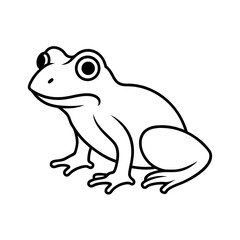 frog on white background