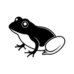 frog on white background