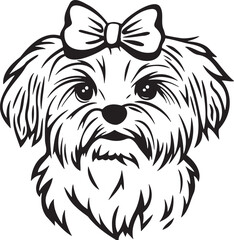 maltese dog with bow on head