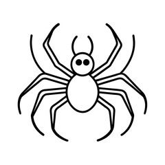 black spider isolated on white
