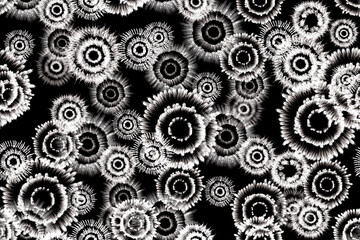 ikat Abstract Ethnic art. Seamless pattern in tribal, folk embroidery, and Mexican style. Aztec geometric art ornament print.Design for carpet, cover.wallpaper, wrapping, fabric, clothing