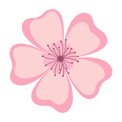 Elegant Sakura Flower Illustrations Flat Pastel Color