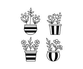 Line Art Illustration of Four Flowers in Striped Pots Black and White Color Vector Design