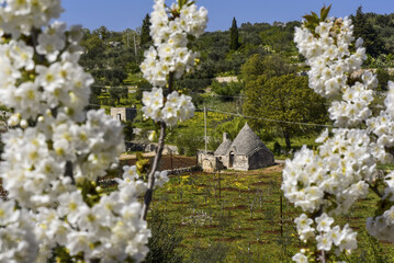 Trulli Region Alberobello, Apulien, Italien