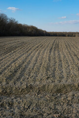 Field of the cultivated land in front of the forest. Heavy loam soil. Dry, clumpy, and compacted...
