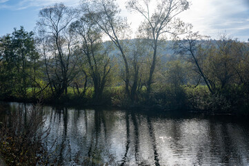 Trees on the bank of a river, with reflections in the water