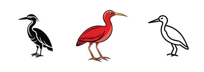 Obraz premium Scarlet Ibis, Heron, Egret Bird Illustrations Black, White, Red
