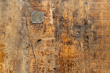 This high-resolution image features a rustic wood grain texture with intricate details and natural charm. Ideal for enhancing design projects, backgrounds, and artistic creations.