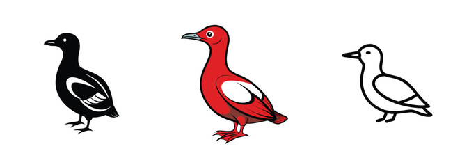 Obraz premium Redbreasted Goose Variations Black, Red, White Bird Illustrations