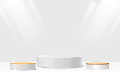 Abstract subtle background. Gray and white leaf platform gray background vector 3d render with podium stand to display cosmetic products 3d stage display white background display