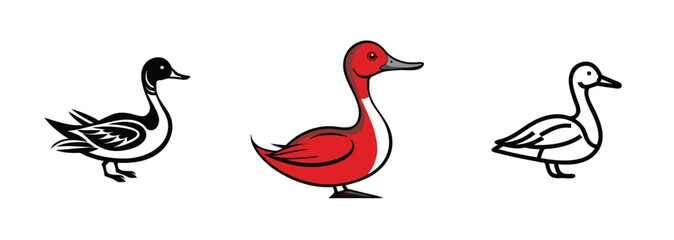 Three Duck Illustrations Black, Red, White Goose Designs