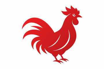 rooster isolated on white background