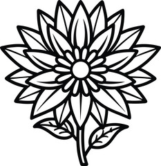 Aster black and white outline icon on white background