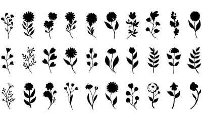 A black Beautiful vintage floral flowers silhouettes