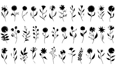 Obraz premium A black Beautiful vintage floral flowers silhouettes