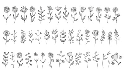 A silhouette flower garden vector on white background