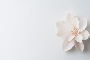 Obraz premium delicate single flower with petals in soft bloom resting gracefully on pristine white background illuminated by soft