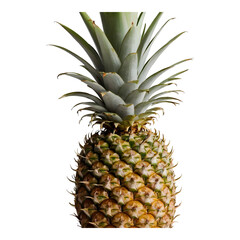 Fototapeta premium Whole Pineapple with Crown on White Background