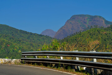 Tea plantation of Valparai