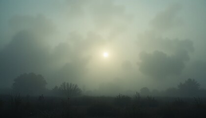 Mysterious foggy sunrise over a tranquil landscape nature scene serene environment atmospheric viewpoint captivating concept