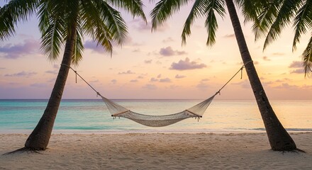 Relaxing hammock swaying between palm trees at sunset beach  