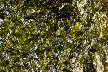 natural green algae that are used to prepare Japanese dishes
