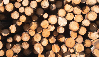 A closeup view of neatly stacked wooden logs, ideal for creating winter coziness and enhancing...