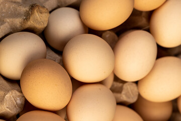 fresh large chicken eggs during packaging