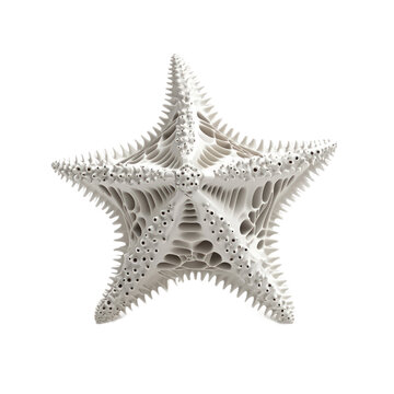3D icon of Astropecten (Sand star) isolated on transparency background