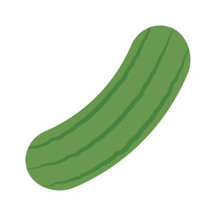 Cucumber icon vector image with white background