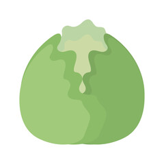 Illustration of a green cabbage head, representing a healthy vegetable, ingredient for cooking, vegan and vegetarian diets, fresh produce from the garden and farm