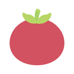 tomato icon vector image with white background