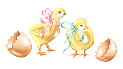Easter chicks with eggshells.  Watercolor illustration