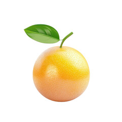 3D icon of Grapefruit isolated on transparency background