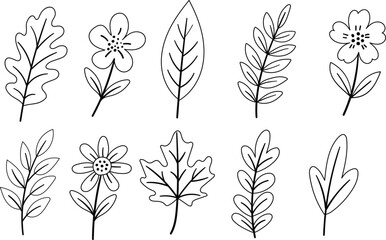 Hand drawn botanical line art of flowers and leaves in minimal style, ideal for coloring books, tattoo designs, wedding templates, or boho themed vector illustrations
