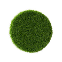 Fuzzy spherical shape with a textured surface on a black background.