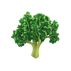 3D icon of Kale isolated on transparency background