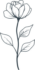 Intricate black and white rose illustration with detailed leaves and stem sketch. Vector illustration