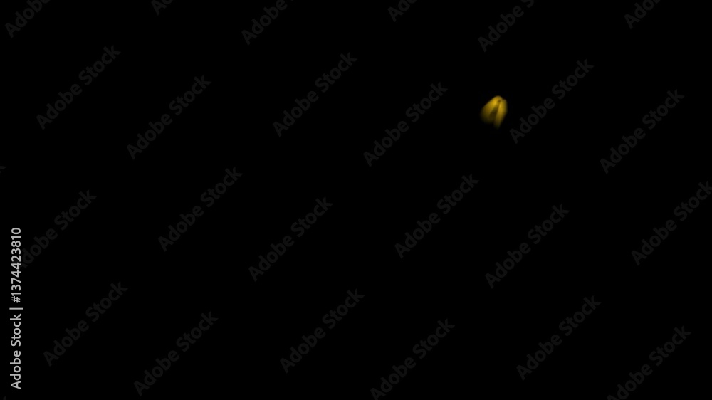 Fototapete question mark animation pop up question mark flat alpha looping 4k question mark confused dizzy. que