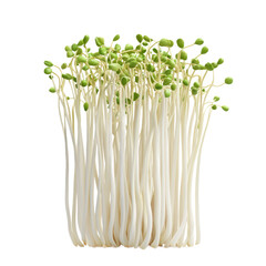 3D icon of Mung bean sprouts isolated on transparency background